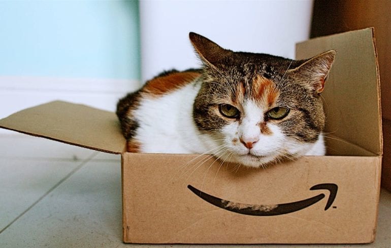amazon_worlddom Amazon