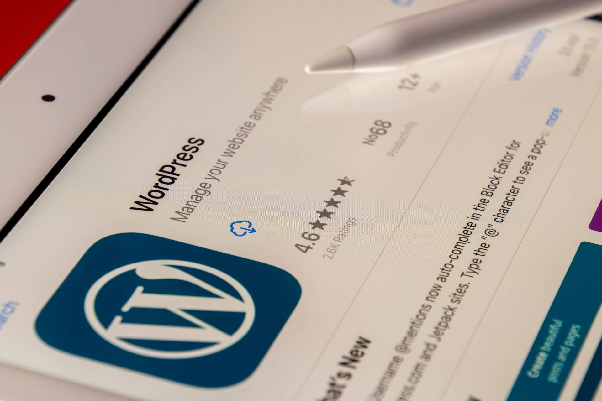 wordpress shortcodes