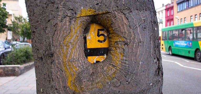 Native Advertising Technology Growth